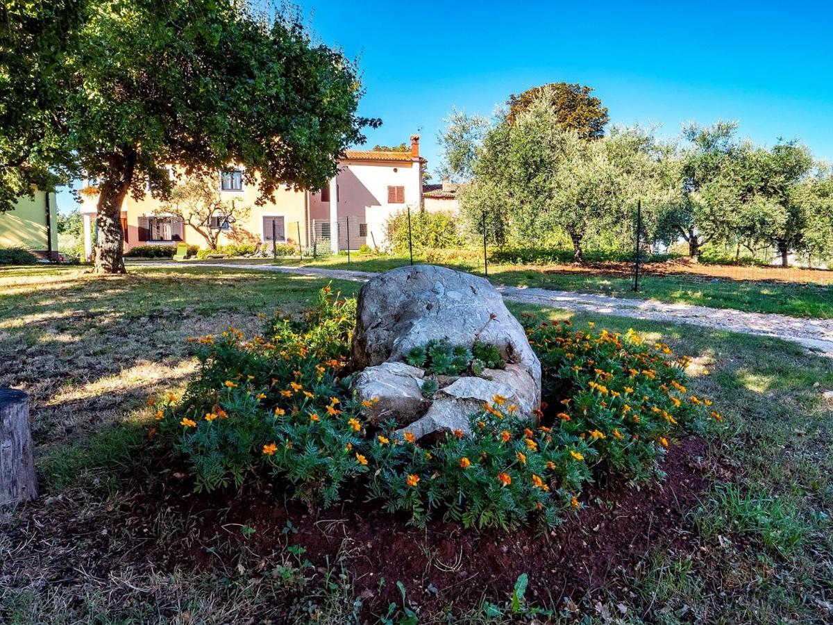 Studio Apartment Gianni Vizinada ภายนอก รูปภาพ